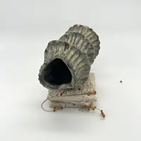 Vase organic - Master