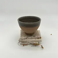 Bolée - Master
