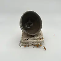 Bolée - Master